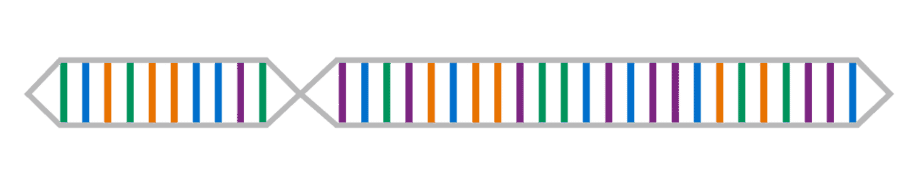 Pia Jansson CliftonStrengths Profile Colorful DNA style graphic representing Pia Jansson’s full lineup of 34 CliftonStrengths themes.
