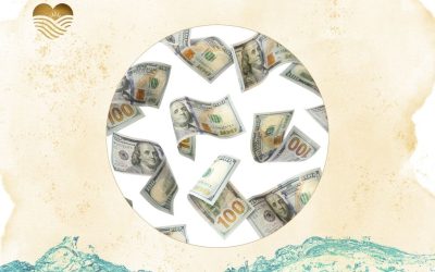 dollar bills